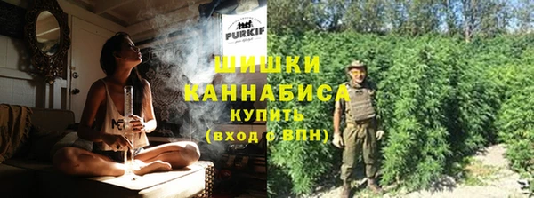 сатива Медногорск