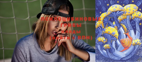 MDMA Медвежьегорск
