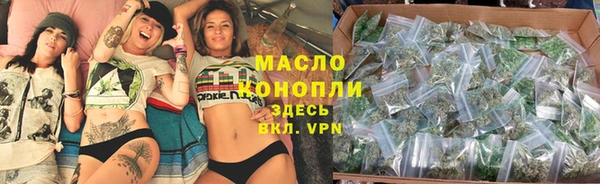 сатива Медногорск