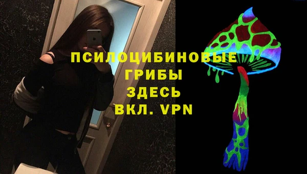 сатива Медногорск