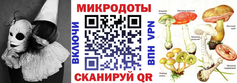 купить  цена  Долгопрудный  Галлюциногенные грибы Cubensis 