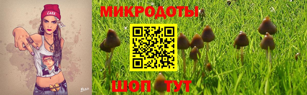 Псилоцибиновые грибы мицелий  Вход с VPN  Долгопрудный 