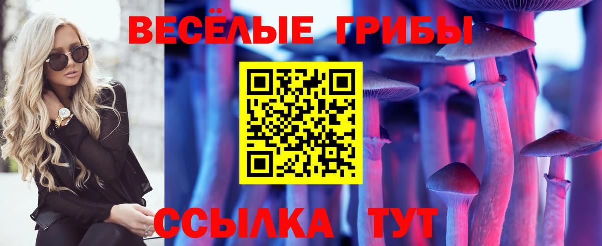 Галлюциногенные грибы Psilocybine cubensis Долгопрудный