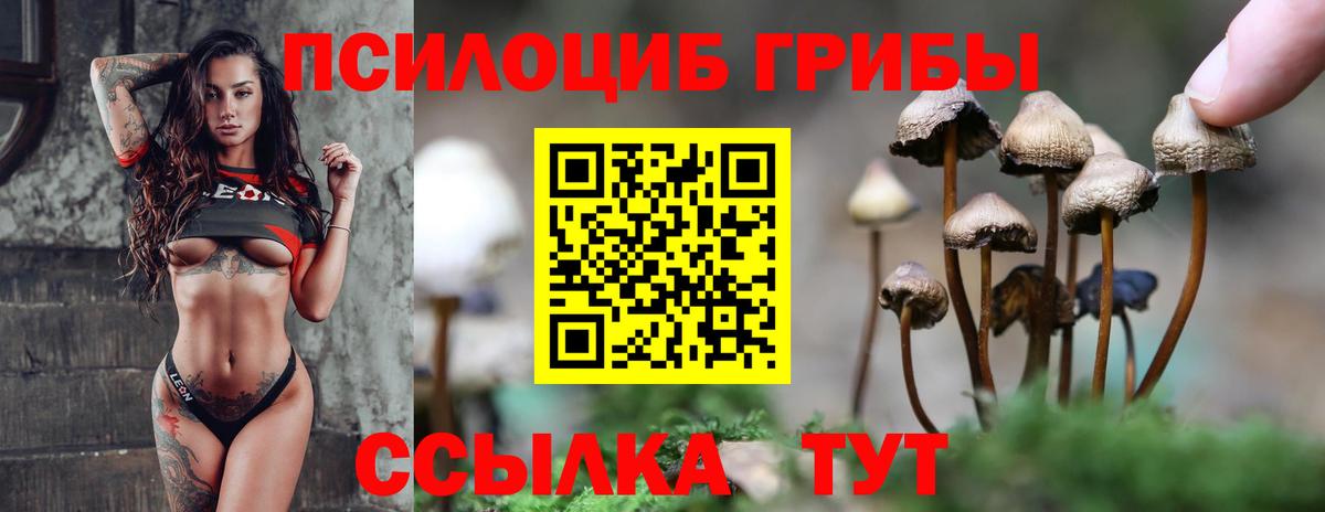 Псилоцибиновые грибы MAGIC MUSHROOMS  Галлюциногенные грибы мухоморы  Долгопрудный 